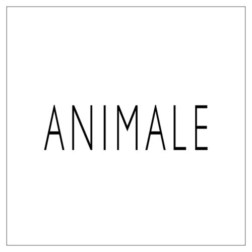 logo-know-how-synax-varejo-loja-animale